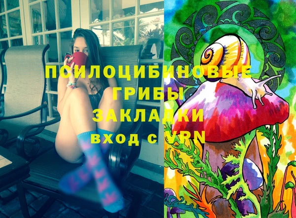 метадон Покачи